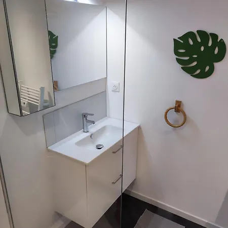 Land A Cote Du Et Ocean , Jardin Privatif 2 A 4 Personnes * Vielle-Saint-Girons